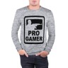 Мужской свитшот хлопок «Pro gamer (2)» melange